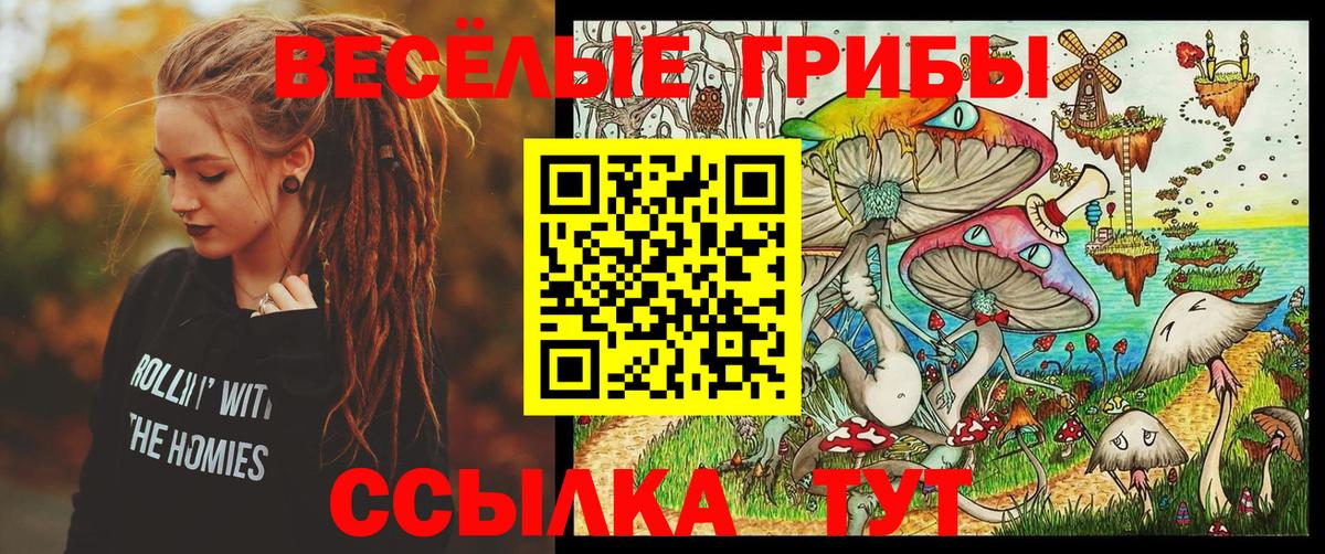 Псилоцибиновые грибы Psilocybe  Вход с VPN  где купить наркоту  Дивногорск  Галлюциногенные грибы прущие грибы 